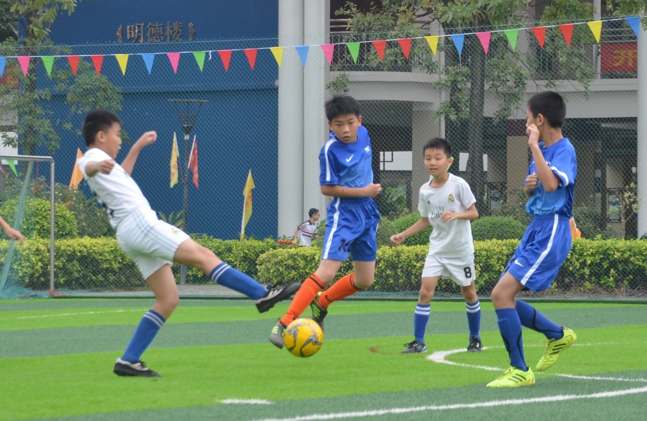 了美的真义 了美的真义